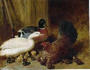 unknow artist Poultry 085 Germany oil painting artist